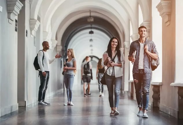 Enhancing Higher Education with Professional Facilitation