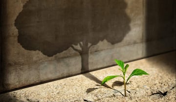 Building Trust from Day One: A Conflict Resolution Journey